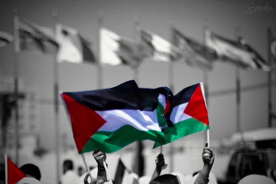 palestinos-banderas