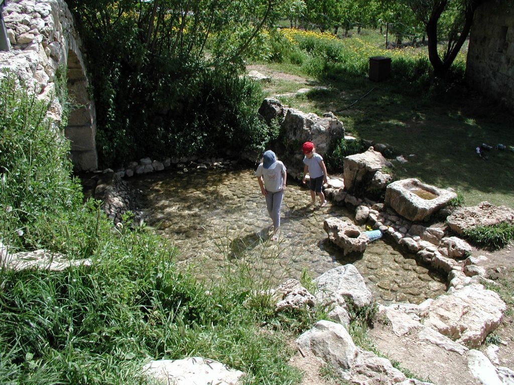 [Pisando el agua en el manantial Ein Tzuba (Crédito de la foto: Shmuel Bar-Am)]