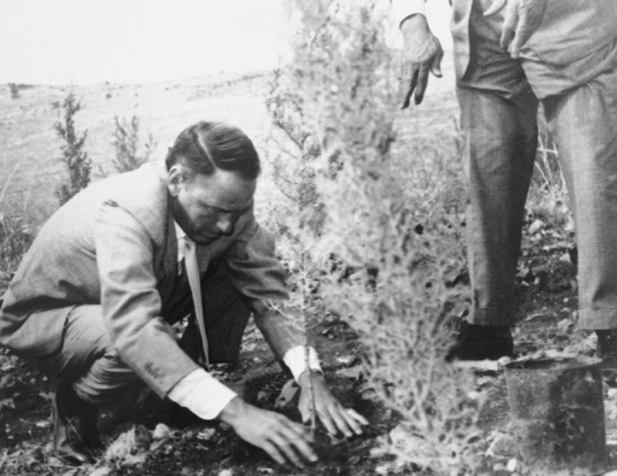 Frank Sinatra planta un árbol en las colinas de Jerusalén en 1962. Cortesía del Archivo del Fondo Nacional Judío. 