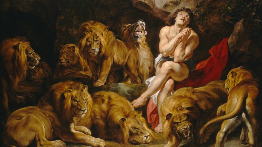 El profeta Daniel entre leones en la visión de Rubens